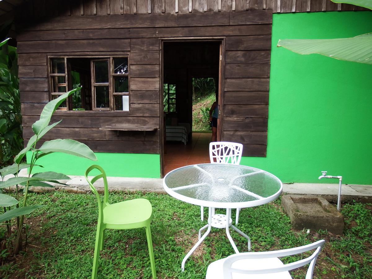 Selva Color - Forest & Beach Ecolodge Quebrada Ganado Ngoại thất bức ảnh