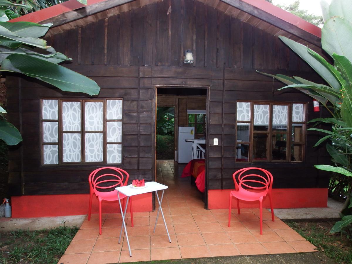 Selva Color - Forest & Beach Ecolodge Quebrada Ganado Ngoại thất bức ảnh