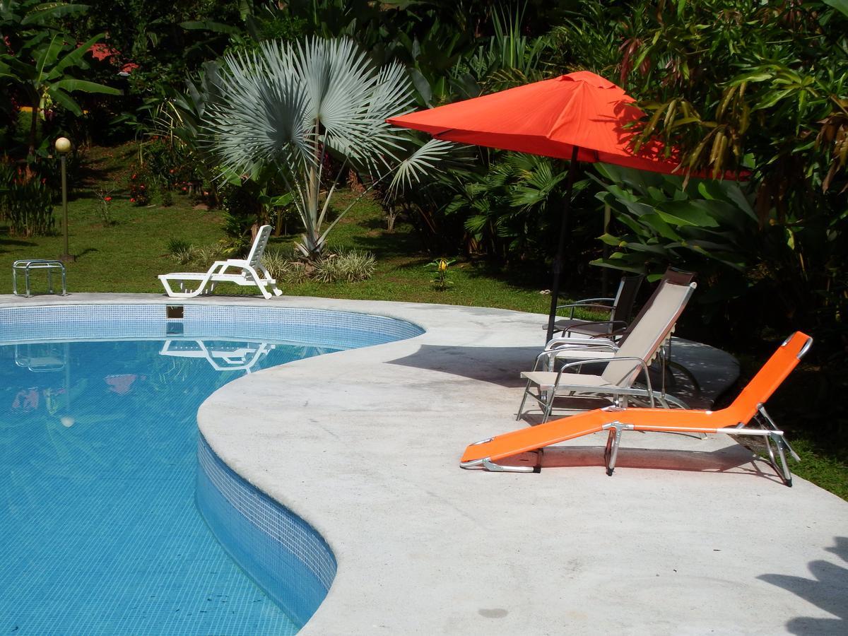 Selva Color - Forest & Beach Ecolodge Quebrada Ganado Ngoại thất bức ảnh