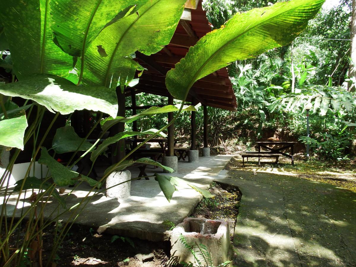 Selva Color - Forest & Beach Ecolodge Quebrada Ganado Ngoại thất bức ảnh