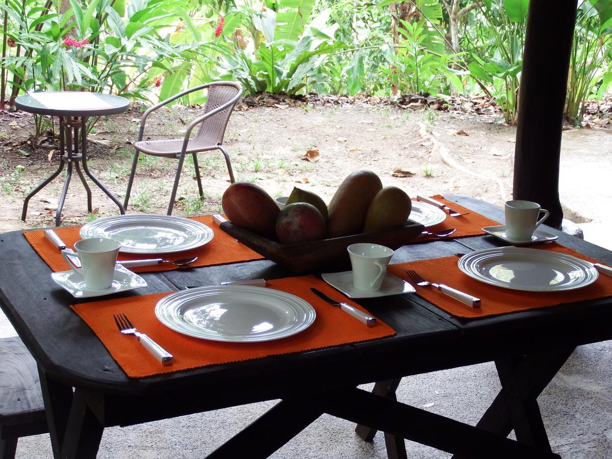 Selva Color - Forest & Beach Ecolodge Quebrada Ganado Ngoại thất bức ảnh