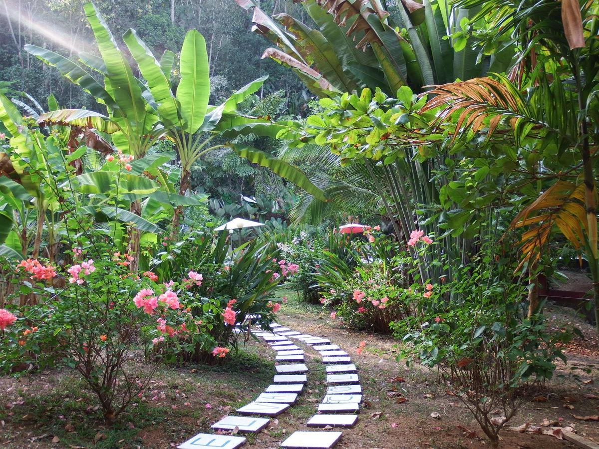 Selva Color - Forest & Beach Ecolodge Quebrada Ganado Ngoại thất bức ảnh