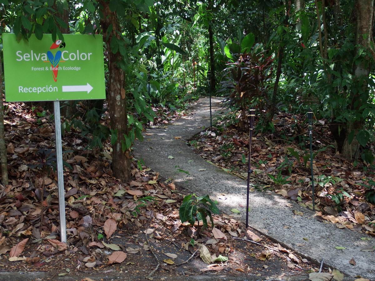 Selva Color - Forest & Beach Ecolodge Quebrada Ganado Ngoại thất bức ảnh