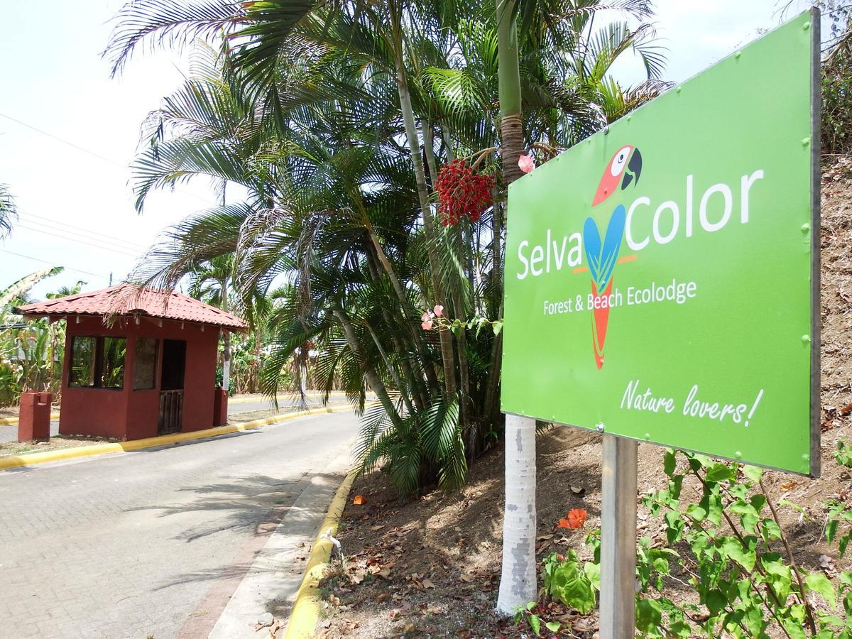 Selva Color - Forest & Beach Ecolodge Quebrada Ganado Ngoại thất bức ảnh