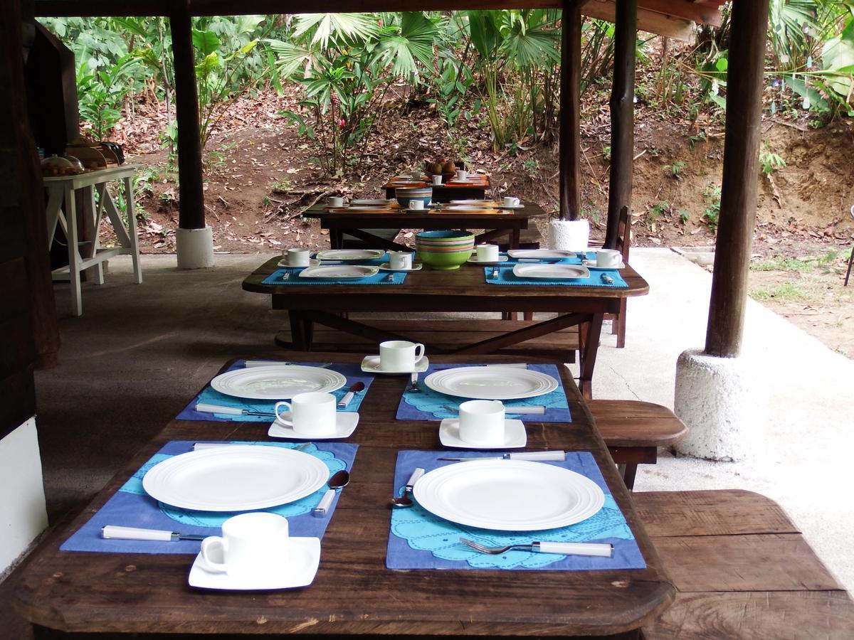 Selva Color - Forest & Beach Ecolodge Quebrada Ganado Ngoại thất bức ảnh